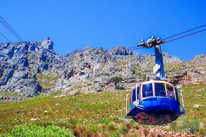 Full-Day Cape Town Shore Tour: Table Mountain, Penguins & Cape Point photo 2