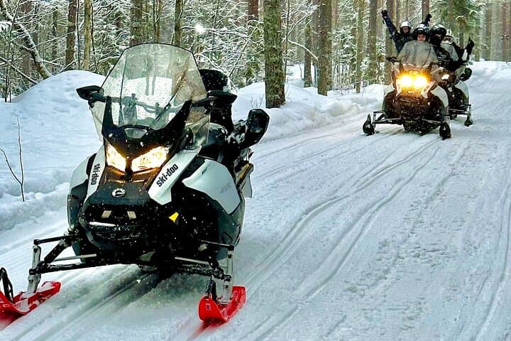 Rovaniemi Snowmobile Safari: Arctic Nature Drive photo 2