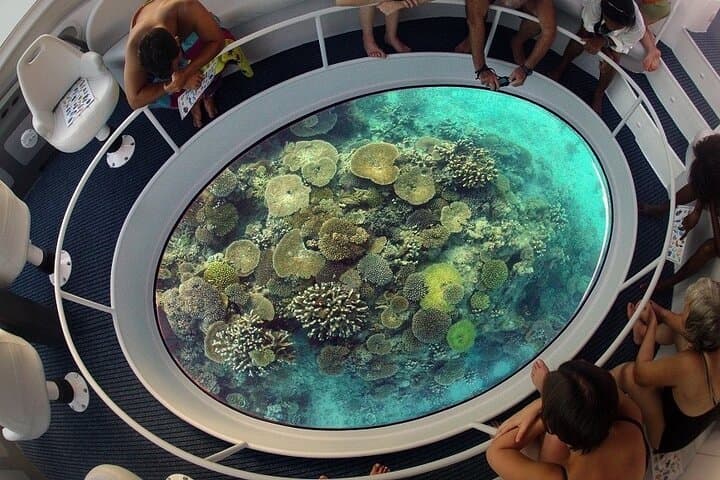 Hurghada Glass-Bottom Speed Boat: Fast Reef Views & Snorkel Stop at Magawish photo 6