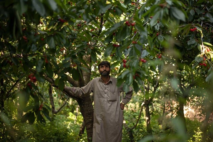 7-Day Private Travel Psychology Journey Through Unseen Kashmir photo 2