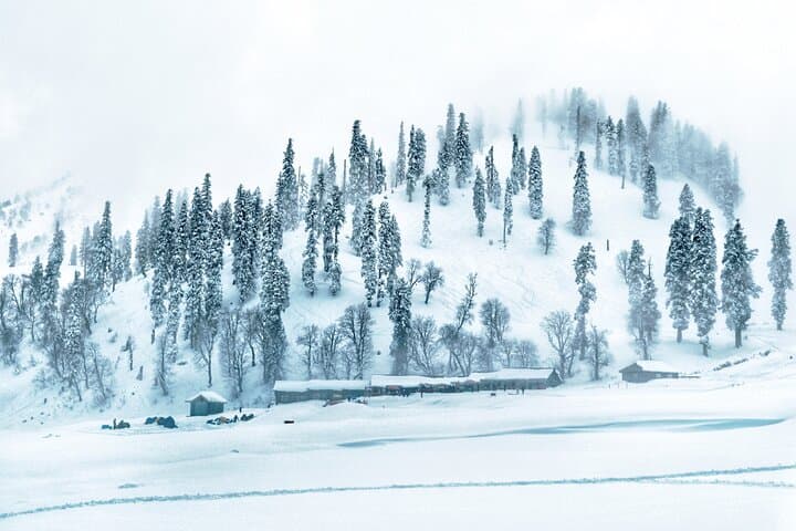 7-Day Private Travel Psychology Journey Through Unseen Kashmir photo 3