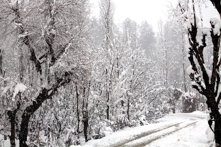 7-Day Private Travel Psychology Journey Through Unseen Kashmir photo 5