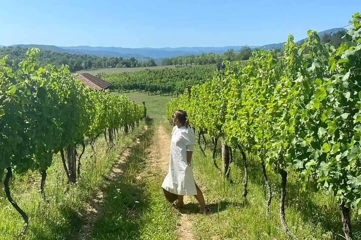 Private Wine Tasting & Stuplje Monastery Day Tour from Banja Luka photo 3