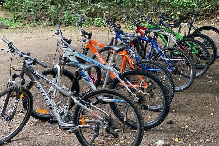 Lake Duluti Private Canoe, Cycle, Coffee & Hike — Day Tour from Arusha photo 4