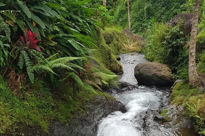 Full-Day Sawan Adventure: Lemukih Natural Water Slide, Temples & Farm Tour from Ubud photo 1
