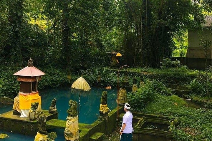 Full-Day Sawan Adventure: Lemukih Natural Water Slide, Temples & Farm Tour from Ubud photo 2