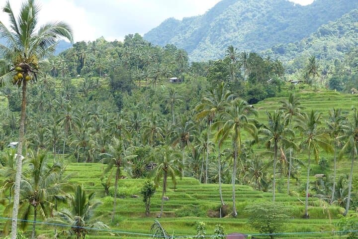 Full-Day Sawan Adventure: Lemukih Natural Water Slide, Temples & Farm Tour from Ubud photo 4