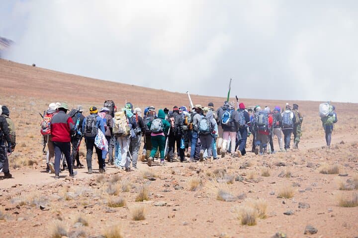 Conquering Kilimanjaro’s Marangu Route: A Practical Guide to Africa’s Iconic Summit photo 4
