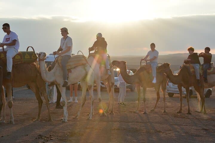 Magical Agafay Desert Dinner and Camel Ride Near Marrakech photo 4