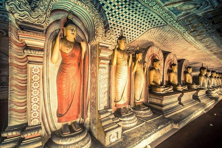 Sigiriya Dambulla Minneriya Jeep Safari — Full-Day Tour from Colombo photo 5