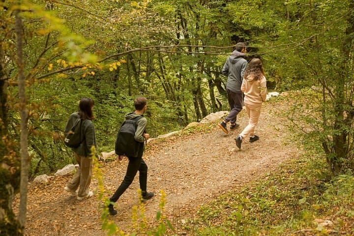 Guided Hike to Lastiver Anapat from Yenokavan — Caves, Waterfall & Forest Trails photo 3