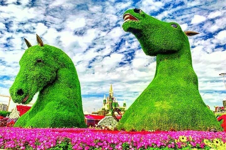 Dubai Miracle Garden Entry Guide: Tickets, Transfers & Visitor Tips photo 6