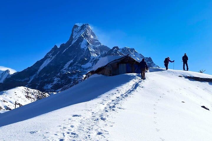 4-Day Mardi Himal Base Camp Trek from Pokhara — Short Himalayan Trek photo 3