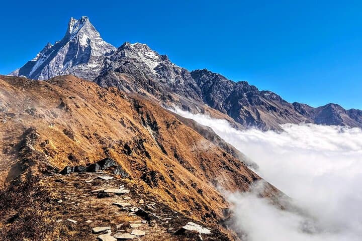 4-Day Mardi Himal Base Camp Trek from Pokhara — Short Himalayan Trek photo 6