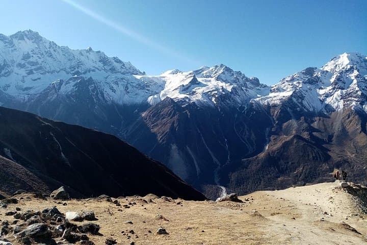 Langtang Valley 7-Day Trek from Pokhara — Kyanjin Gompa & Tsergo Ri Adventure photo 3