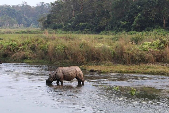 3-Day Chitwan Safari from Pokhara — Jeep, Canoe & Tharu Village Experience photo 2