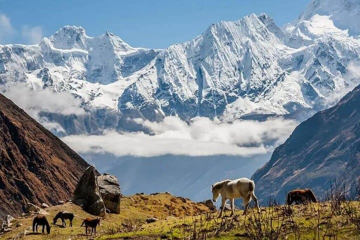 14-Day Manaslu Circuit Trek from Kathmandu: Private Larke La Adventure photo 4