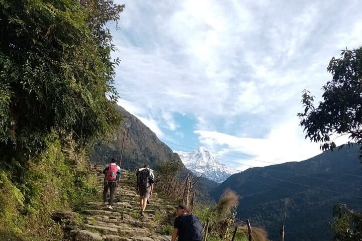 Pokhara to Annapurna Base Camp: 5-Day Trek to the Sanctuary at 4,130m photo 2