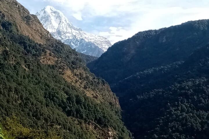 Pokhara Private 10-Day ABC Trek with Poon Hill — Sunrise Views & Annapurna Base Camp photo 2