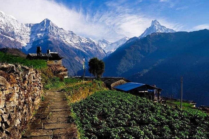 2-Day Private Panchase Trek From Pokhara — Sunrise on the Annapurnas photo 2
