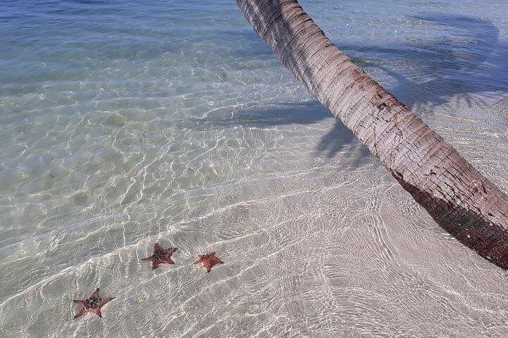 Half-Day Motorbike Tour in Phu Quoc: Rainforest Trails, Starfish Beach & Rach Vem Village photo 4