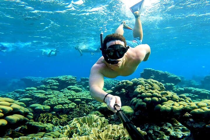 Private Angelfish Snorkel & Brunch Sail in Aruba — Snorkel Mangel Halto and Spanish Lagoon