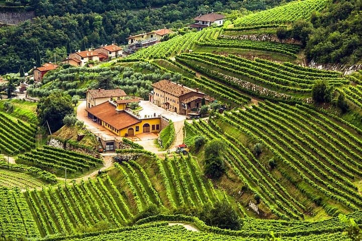 Private Valpolicella Wine Tour from Verona — Villa Tastings & Countryside Drive