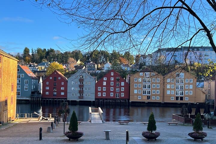 Half-Day Highlights of Trondheim: Bus Tour and Historic City Walk photo 4