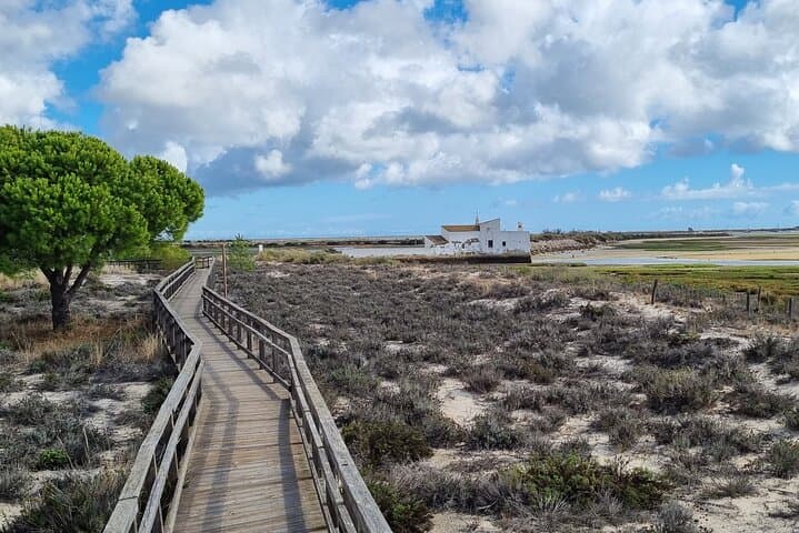 Half-Day Ria Formosa Walking Tour: Birdwatching, Dunes & Coastal Wetlands