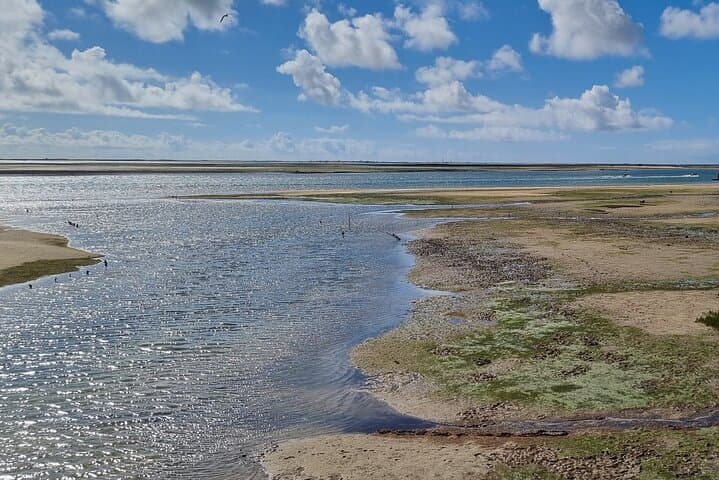 Half-Day Ria Formosa Walking Tour: Birdwatching, Dunes & Coastal Wetlands photo 6