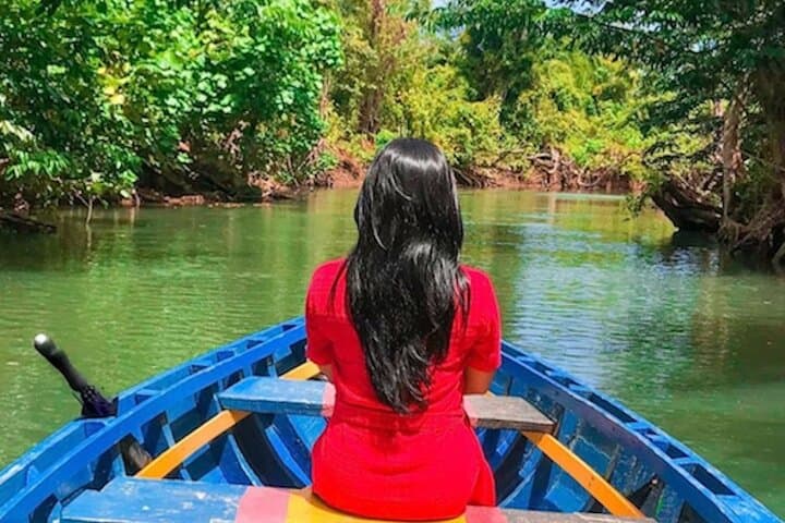 Dominica Indian River Discovery & Mero Black Sand Beach — Canoe Tour from Roseau photo 2