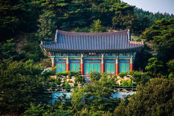Day Trip to Pohang: Arboretum, Igari Anchor Observatory & Daewonsa Temple photo 4