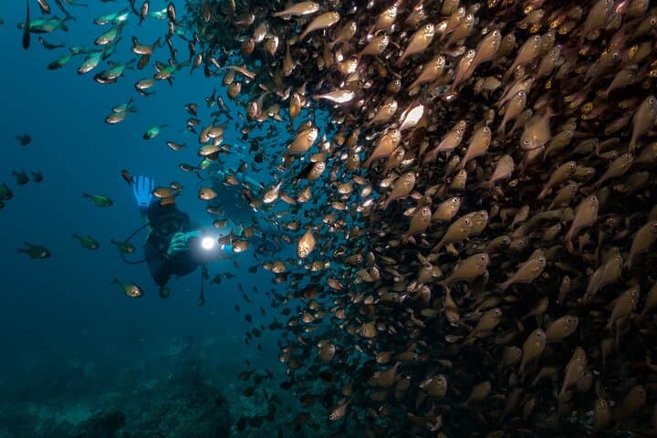 Boracay 2-Day SSI Advanced Open Water Course — Deep Dive Certification in the Philippines