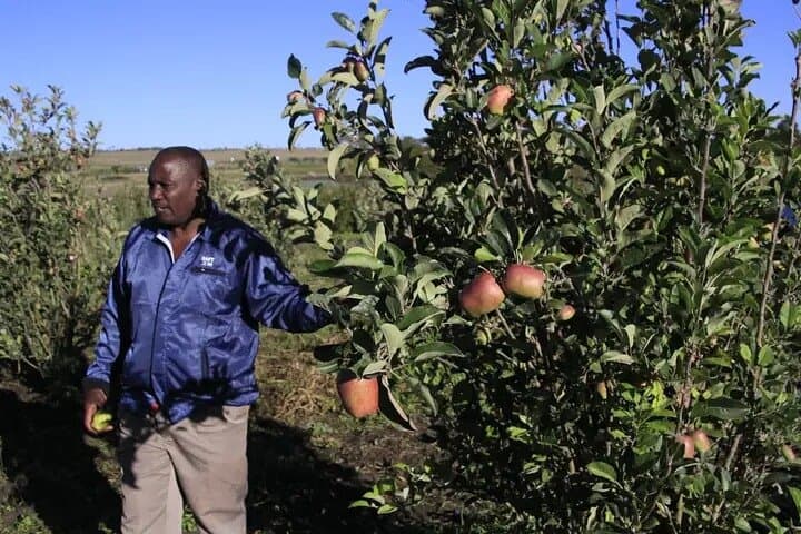 3-Day Private Ol Pejeta Safari & Central Kenya Farming Experience photo 6