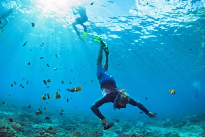 Nusa Penida Highlights: Cliff Views, Hidden Beaches & Snorkeling Day Trip from Bali photo 3