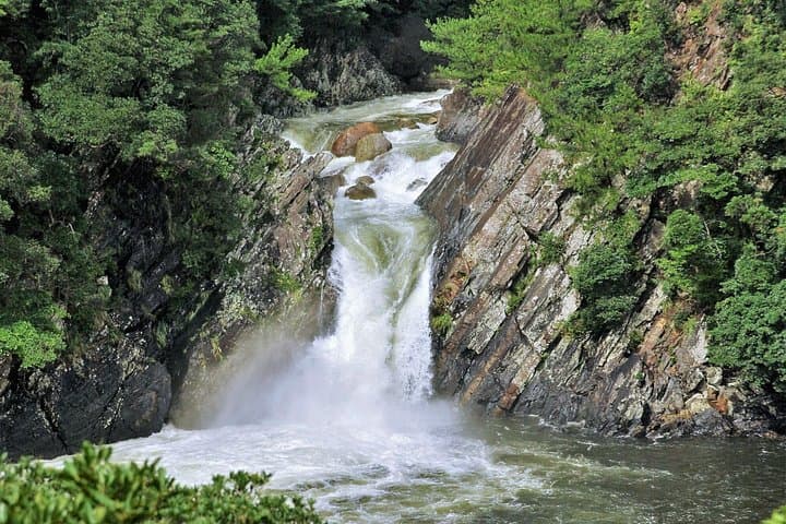 Private Yakushima Island Sights Tour: Yakusugi, Waterfalls & Wildlife photo 4