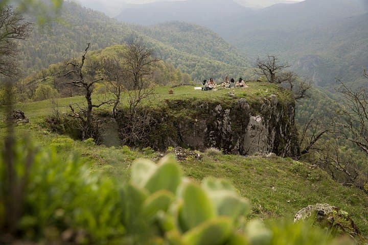 Sip the Mountains: Armenian Organic Tea Rituals in Berd photo 3