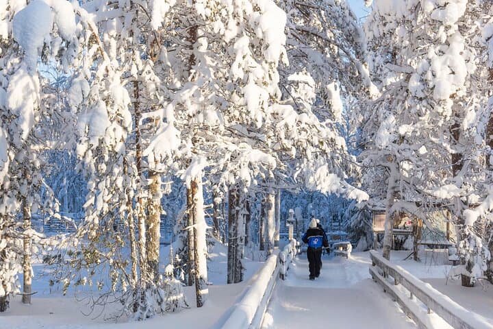 Explore Ranua Wildlife Zoo: Arctic Animals & Winter Experience Near Rovaniemi photo 5