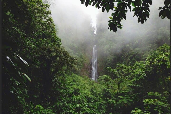 Dominica Waterfalls & Champagne Reef: Full-Day Chasing Waterfalls Experience photo 5
