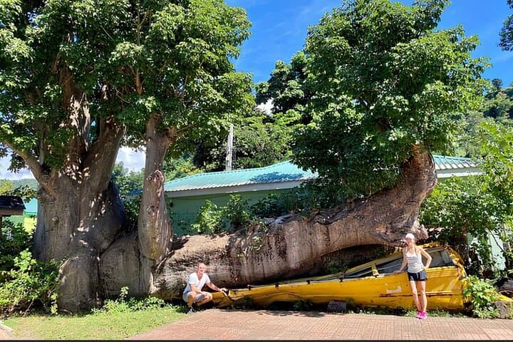 Dominica Waterfalls & Champagne Reef: Full-Day Chasing Waterfalls Experience photo 4