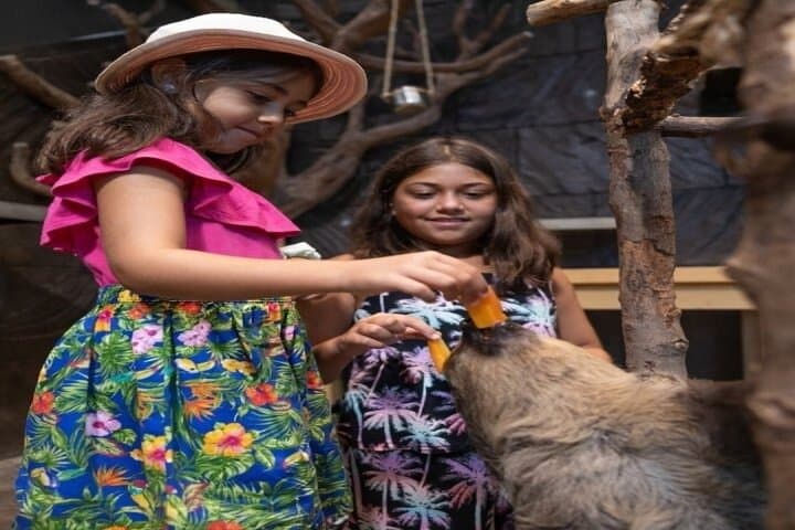 Green Planet Dubai: Indoor Rainforest Experience & Visitor Guide photo 2