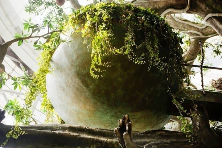 Green Planet Dubai: Indoor Rainforest Experience & Visitor Guide photo 3