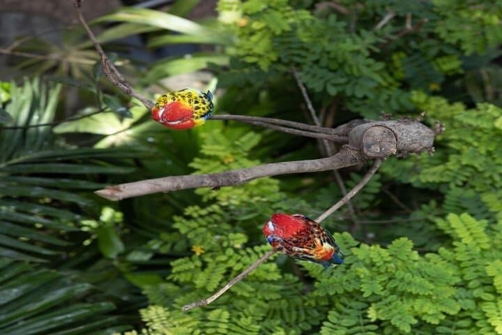 Green Planet Dubai: Indoor Rainforest Experience & Visitor Guide photo 4