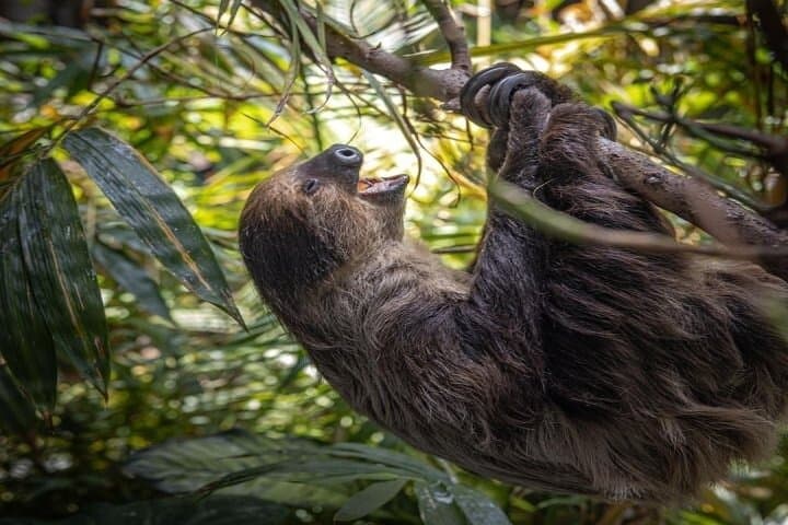 Green Planet Dubai: Indoor Rainforest Experience & Visitor Guide photo 5