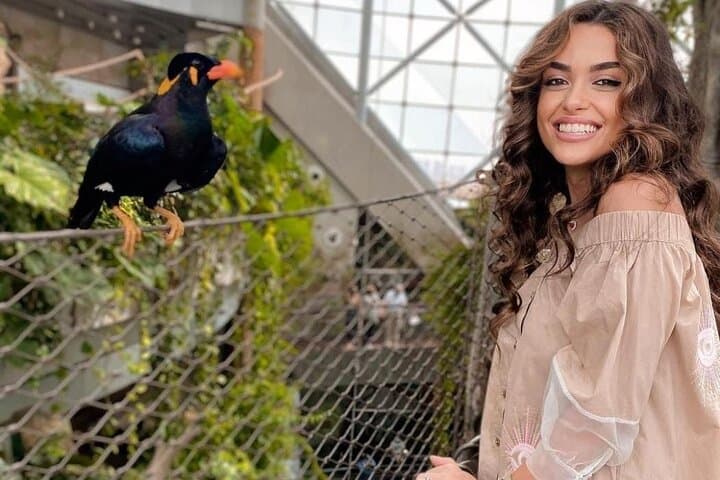 Green Planet Dubai: Indoor Rainforest Experience & Visitor Guide