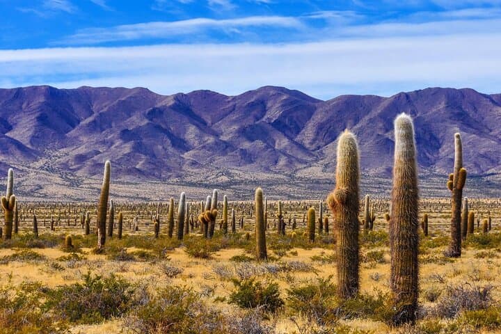 Two-Day Tours from Salta: Cachi & Salinas Grandes Salt Flats photo 2