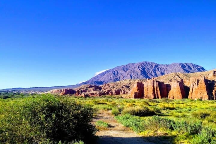 Three-Day Salta Circuit: Cafayate, Cachi & the Quebradas