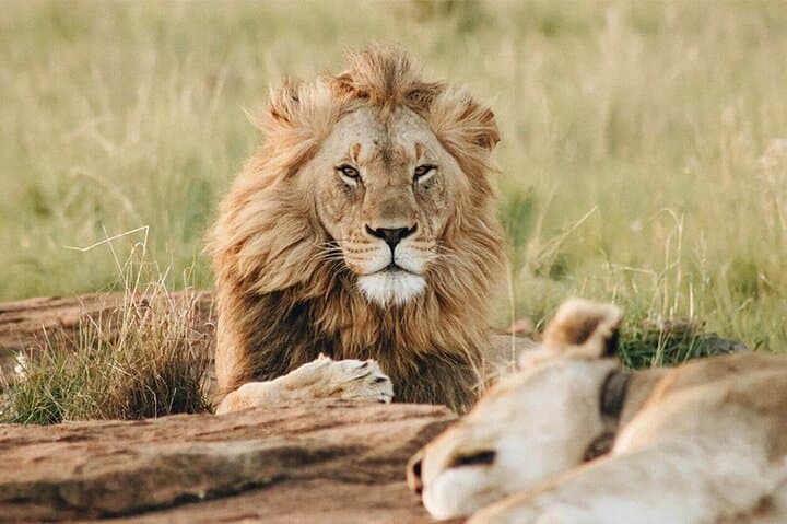 Exploring Dubai Safari Park: Tickets, Tours & What to Expect photo 3