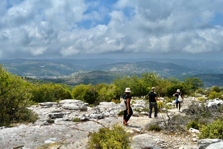 Batroun & Bchaaleh Day Tour — Coastal History, Pottery Workshop and Olive-Grove Hike photo 1