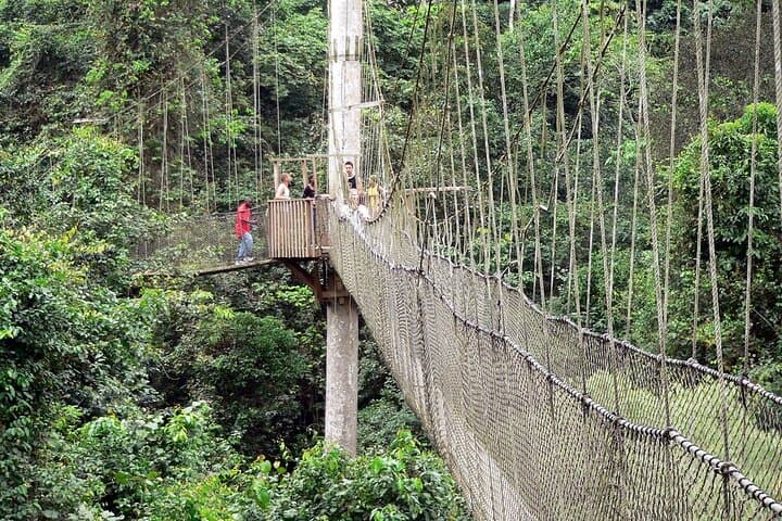Cape Coast & Kakum Private Day Tour: Castle History and Canopy Walkway photo 5